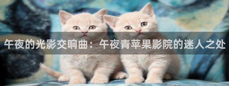星空影视最新版