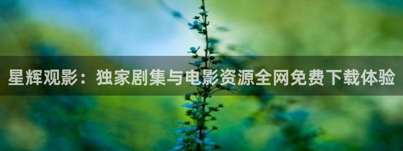 星空影视免费版app