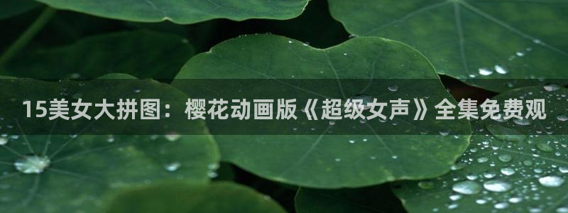 午马电影免费观看电影短剧