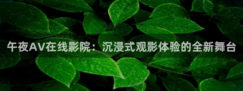 那片星空那片海电视剧在线观看