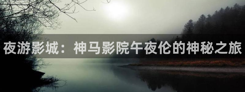 星空影视在线观看入口