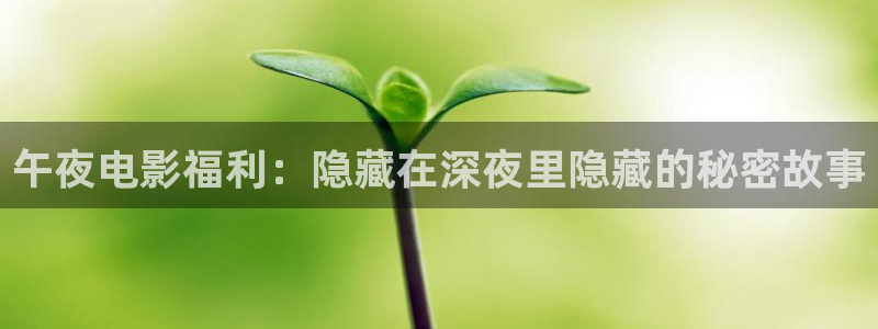 星空的照片图片