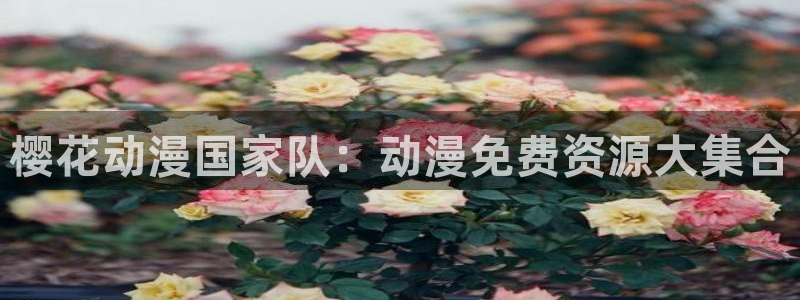 星空视频播放器
