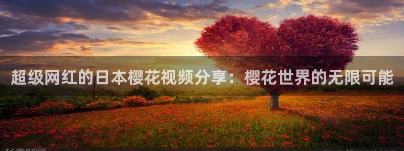星空影视观看