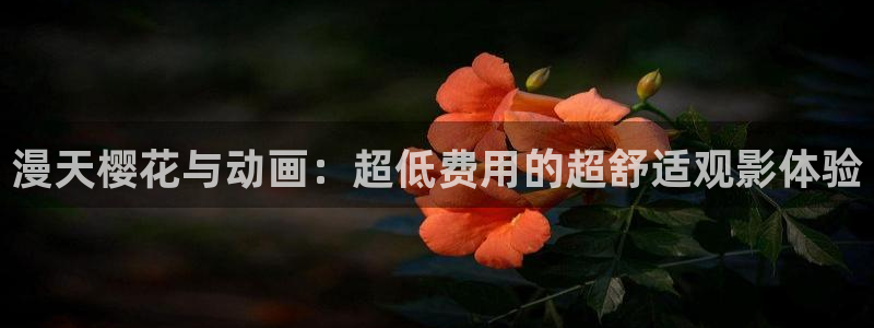 午马电影免费网站