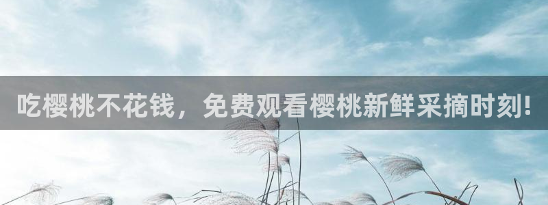 午马电影免费观看高清完整版