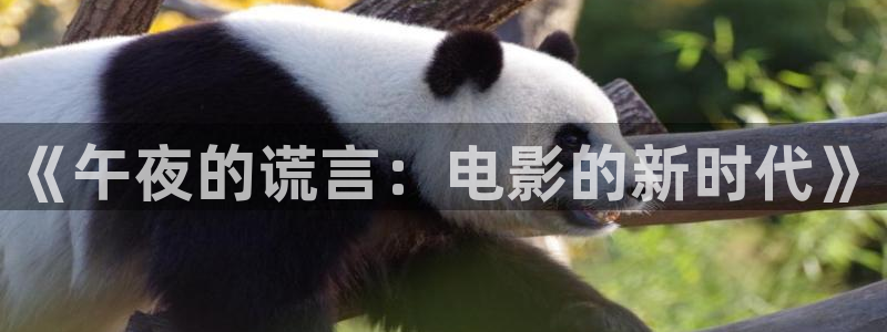 星空影视app官方免费下载