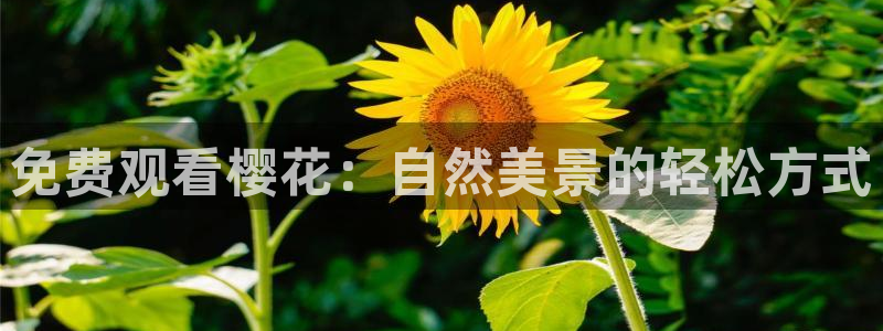午马电影 在线观看