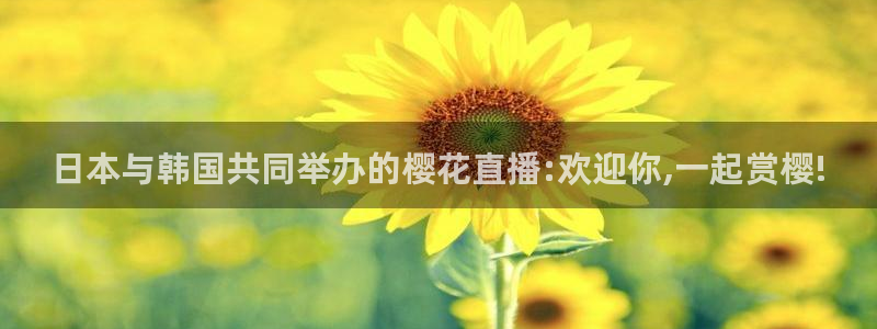 夏至未至电视剧免费观看完整版午马电影