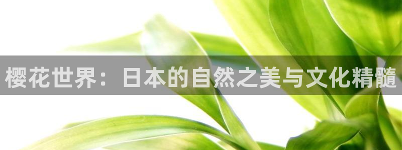 星空影视在线观看全