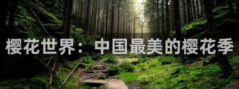 午马电影电影在线看