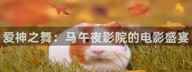 娄底星空影城