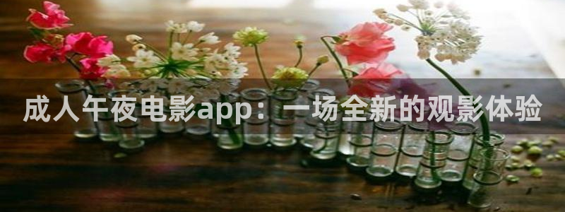 星空影视高清mv免费观看