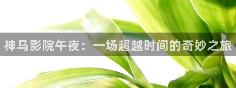 午马电影和私人影院
