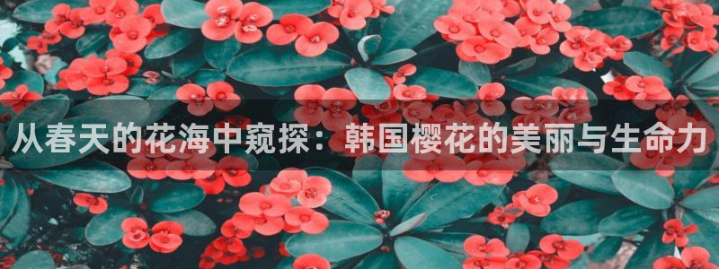 星空电影免费播放观看