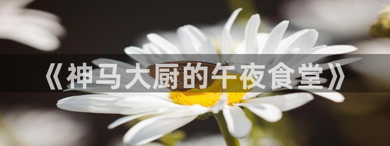 午马电影电视剧在线观看