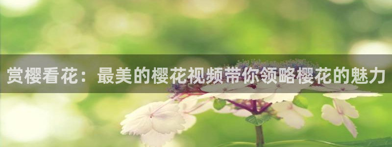 午马电影免费观看完整版高清
