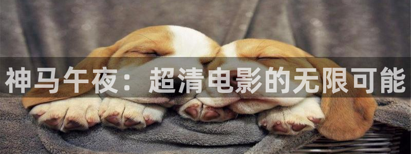 星空电影视频