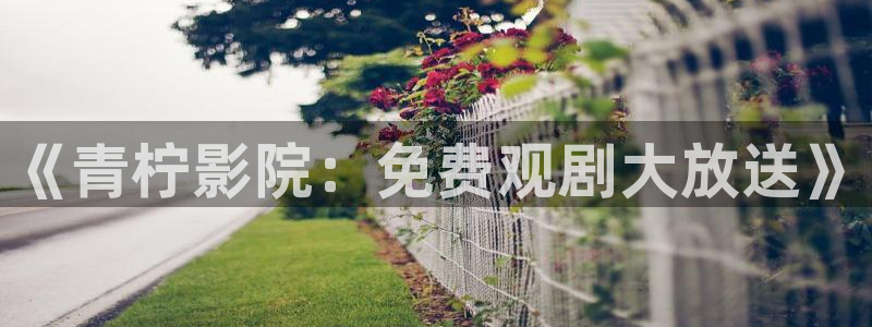 二十不惑星空影视