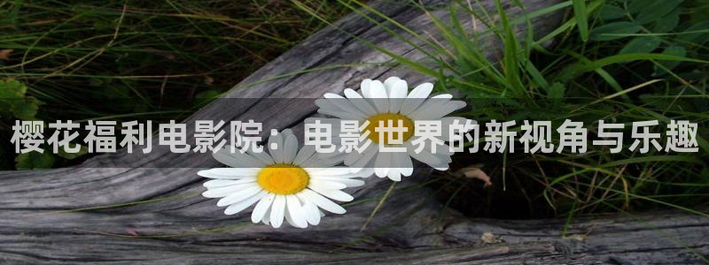 窝窝星空电影网