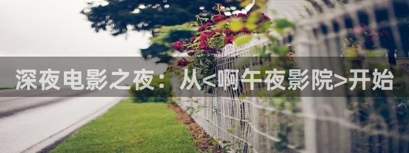 午马电影免费观看电视剧高清