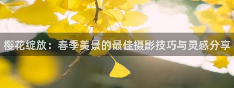 星空盒子影院