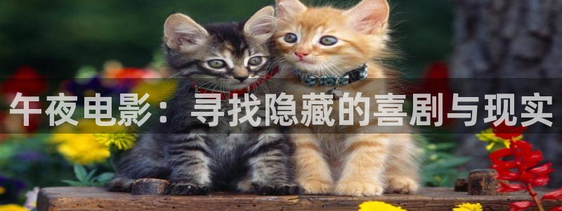 星空星辰影院官网入口