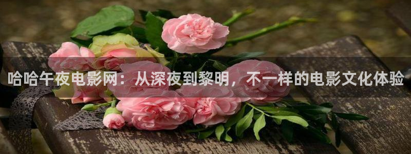 午马电影高清电影好看的电视剧