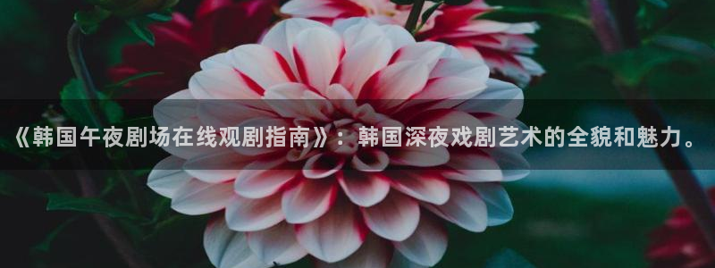 午马电影高清在线播放