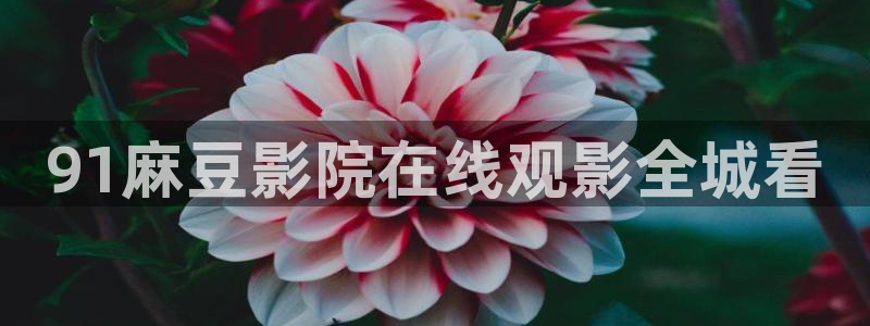 午马电影在线观看视频