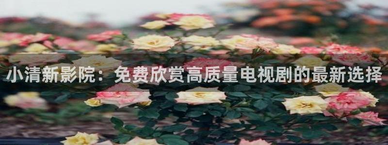 星空影视免费在线播放