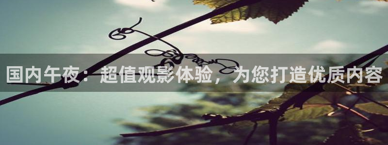 星空影业有限公司