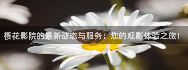 午马电影免费观看高清