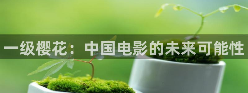 午马电影高清免费观看电影
