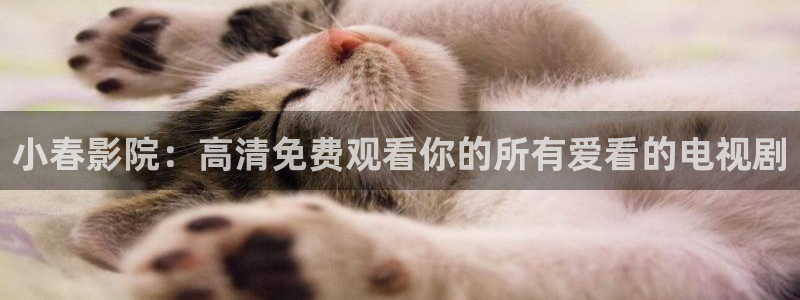 后宫露营午马电影