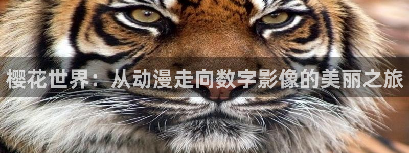 合肥星空国际影城